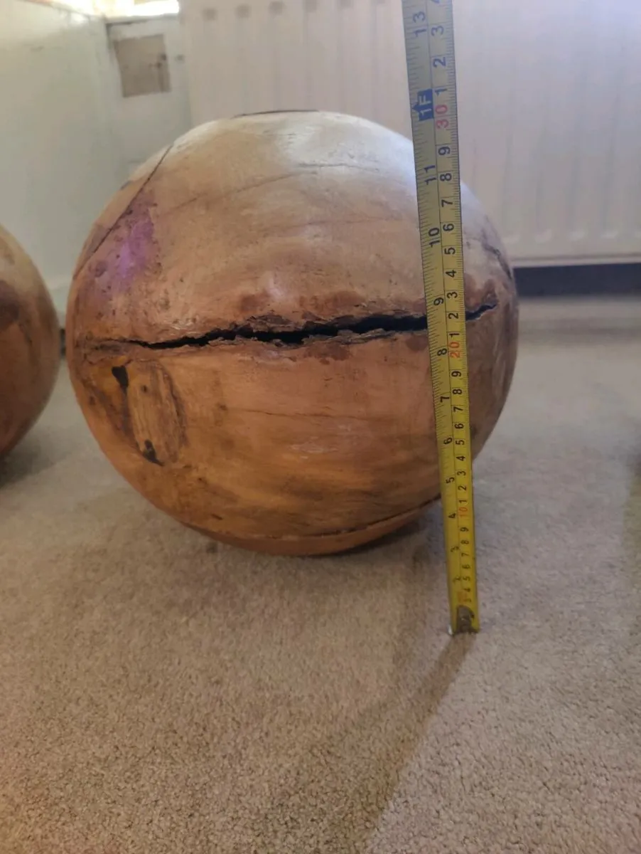 Large Decorative Maple Burls - Image 4