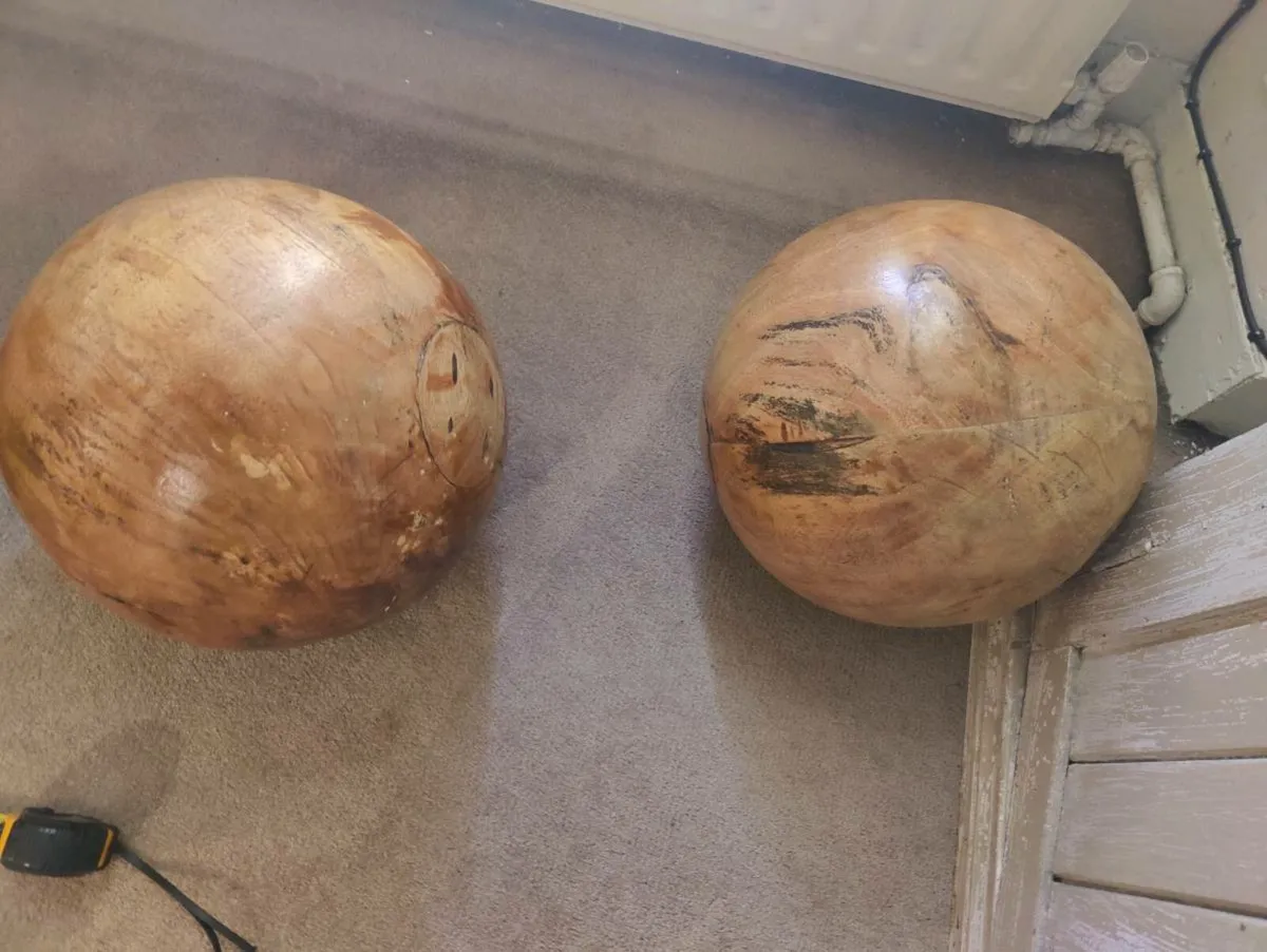 Large Decorative Maple Burls - Image 1