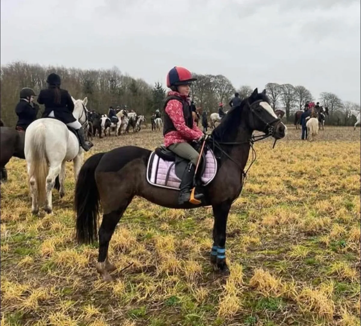 12.2/128 sji pony - Image 2