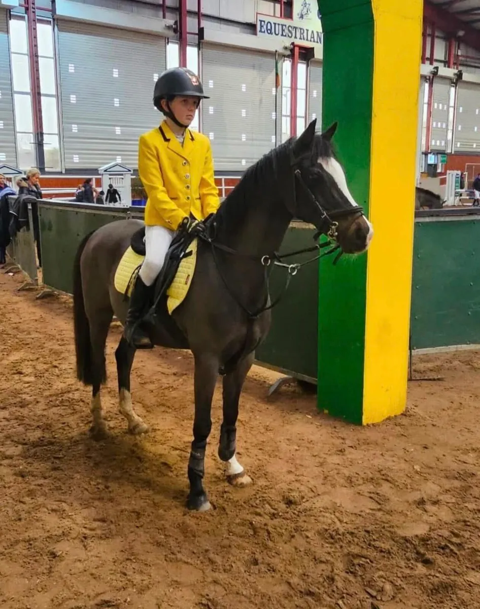 12.2/128 sji pony - Image 3