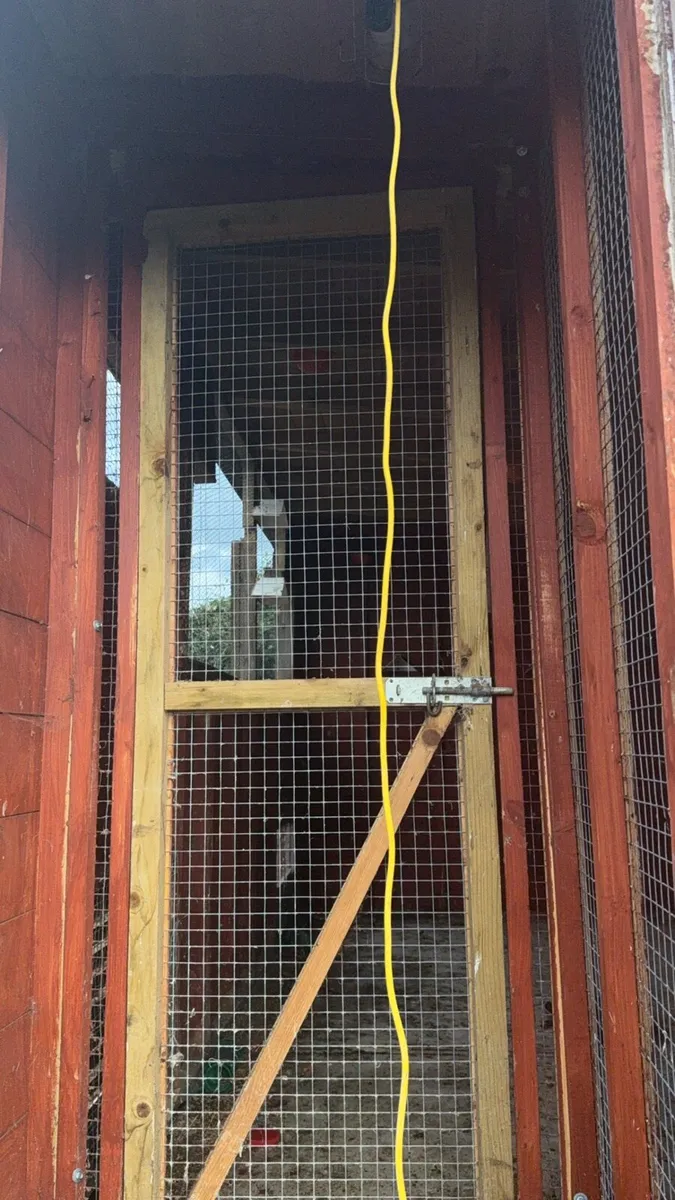 Pigeon shed - Image 3