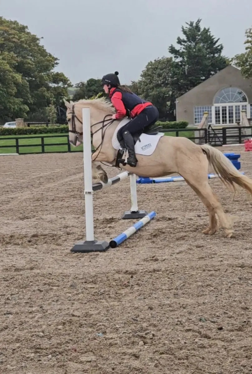 Perfect pony - Image 2