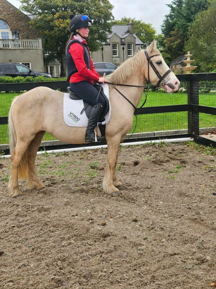 Perfect pony - Image 3