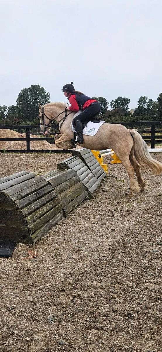 Perfect pony - Image 4