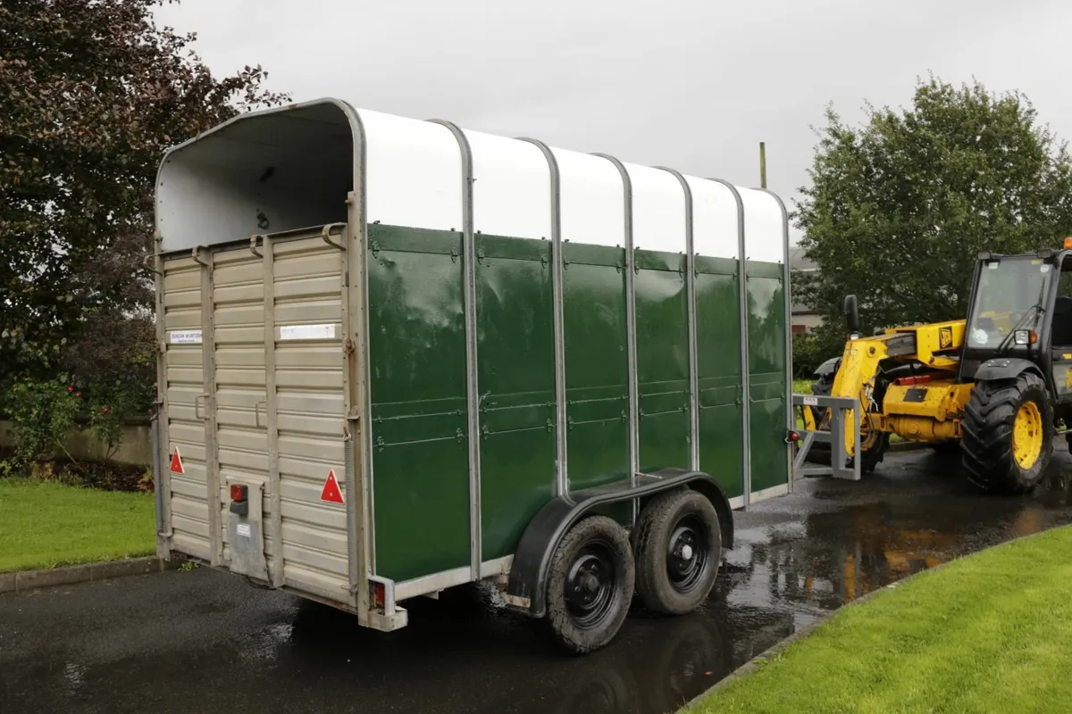 cattle trailer/horse box - Image 2