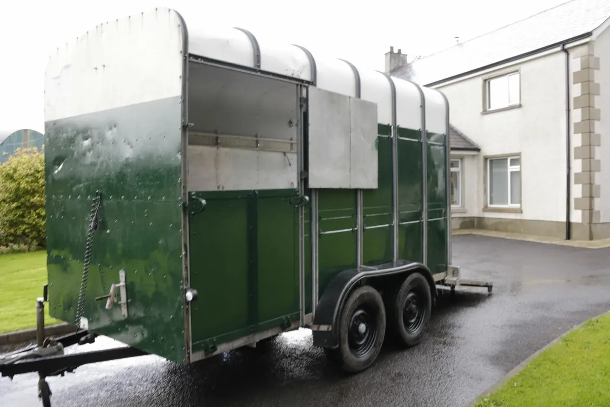 cattle trailer/horse box - Image 3