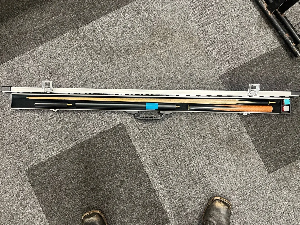 Baize Master Cue & Case - Image 1