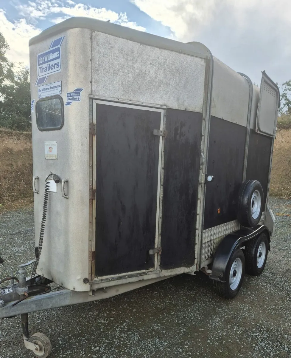 Ifor Williams 505 HB - Image 3