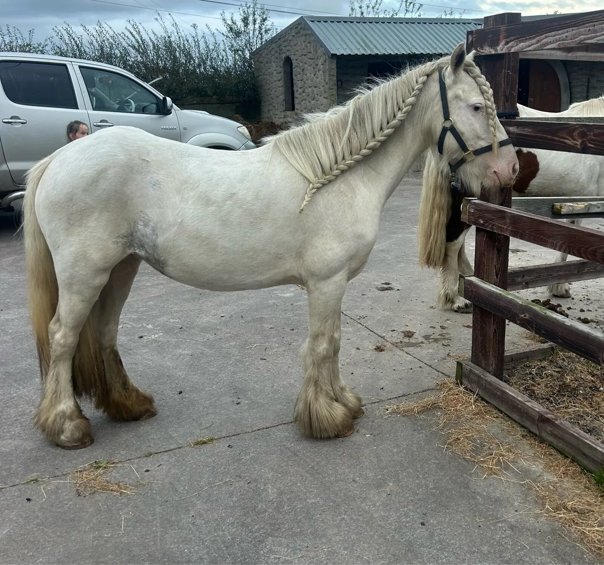 125 cm 4 year old - Image 1