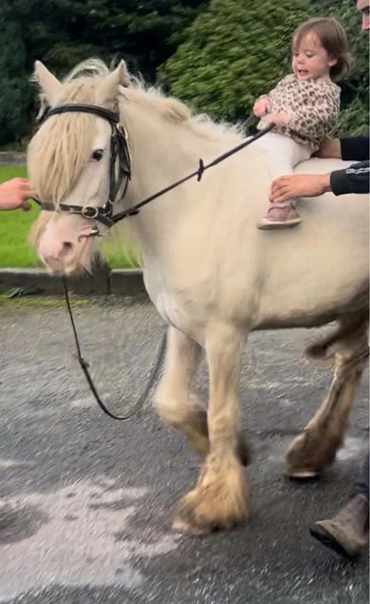 125 cm 4 year old - Image 3