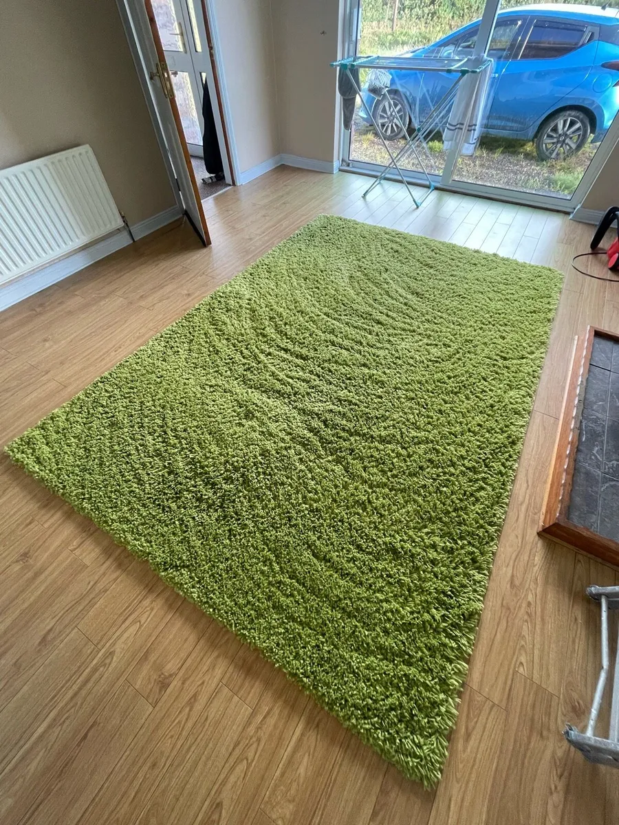 Shaggy rug - Image 1