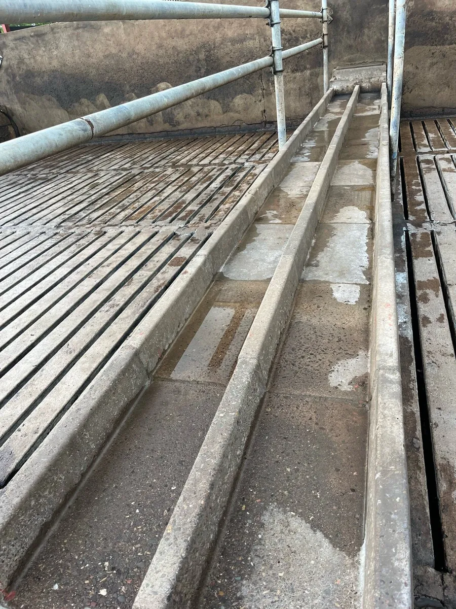 Cattle troughs - Image 3