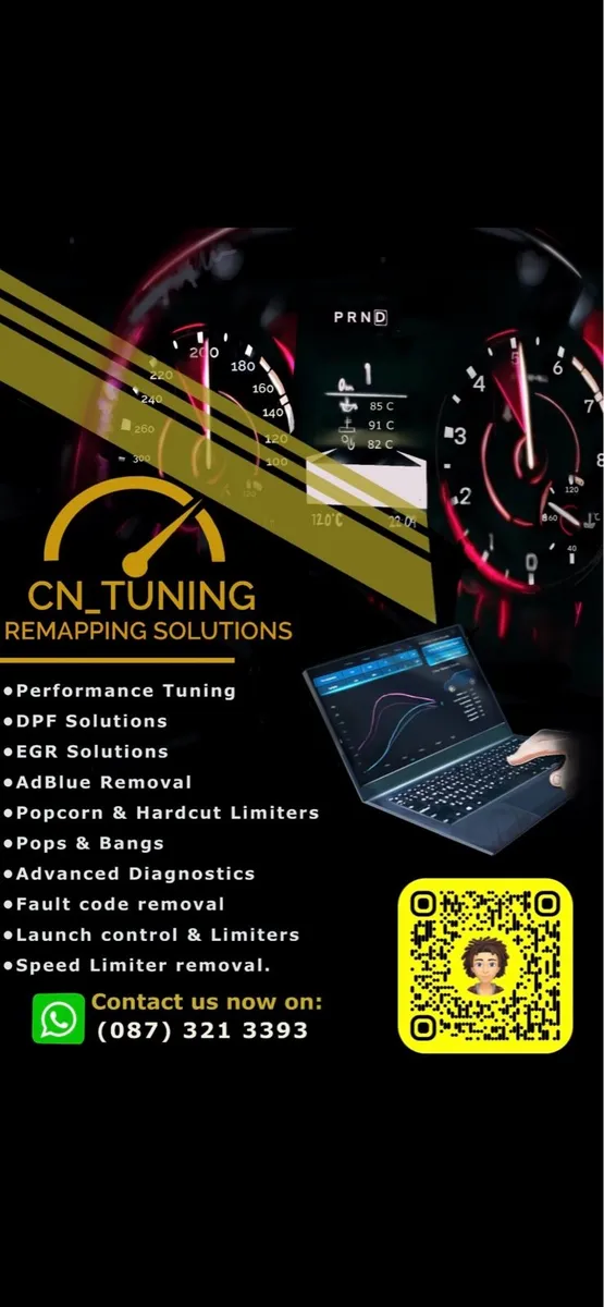 ECU Remapping & Diagnostic Technician