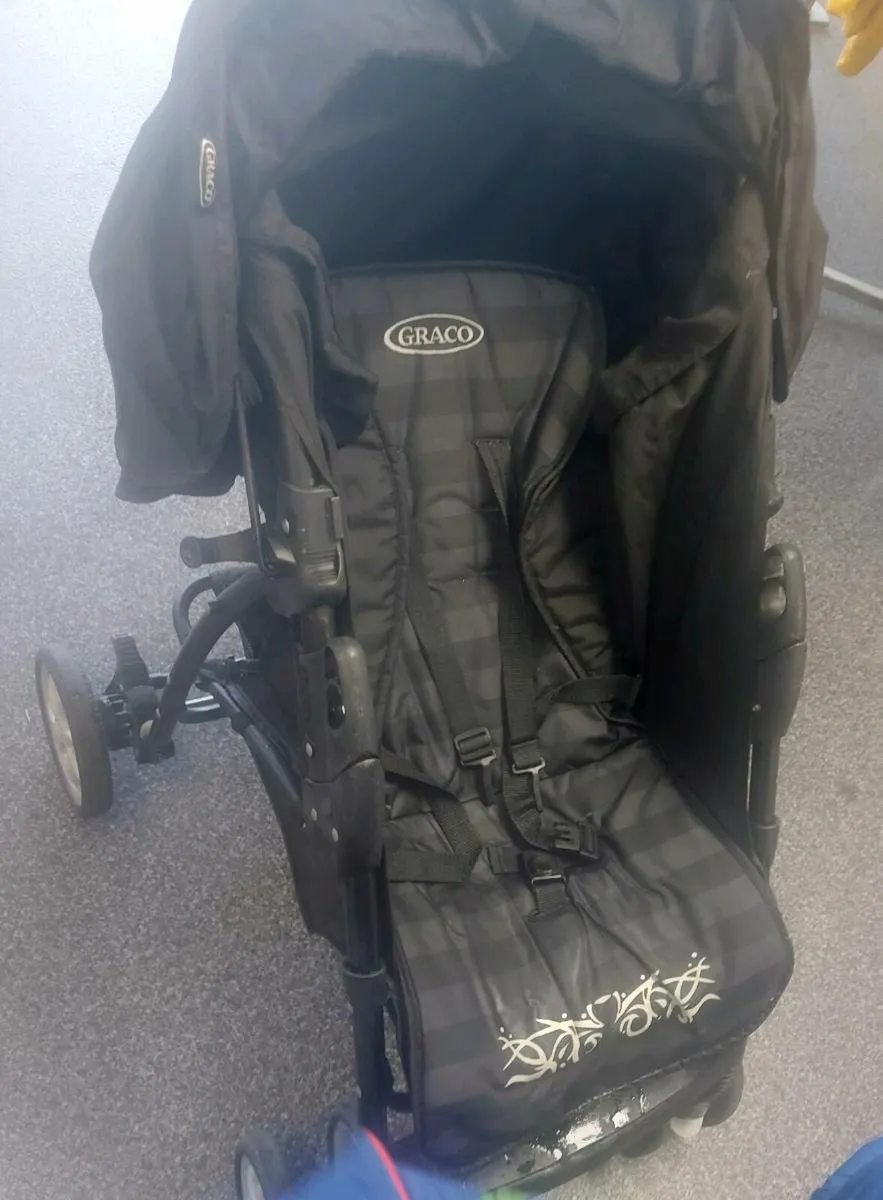 Buggy - Image 1