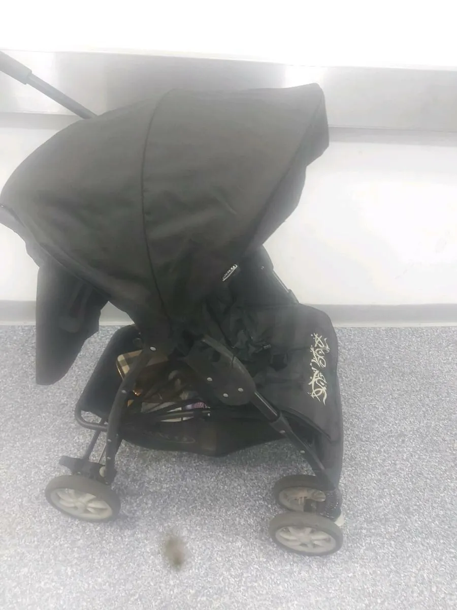 Buggy - Image 4