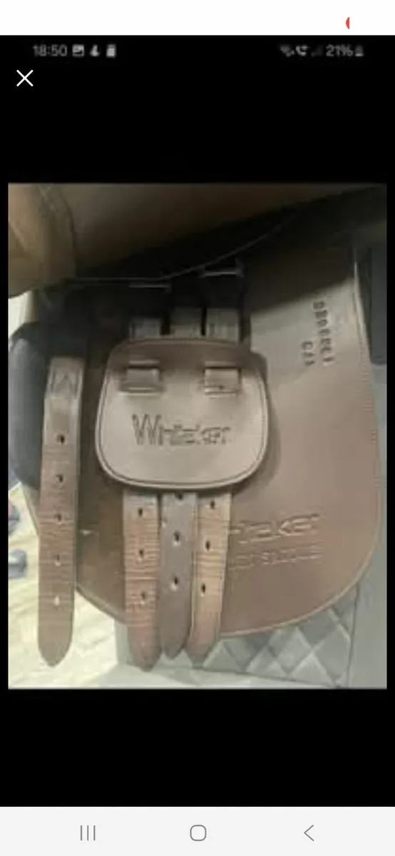John Whittaker Saddle - Image 2