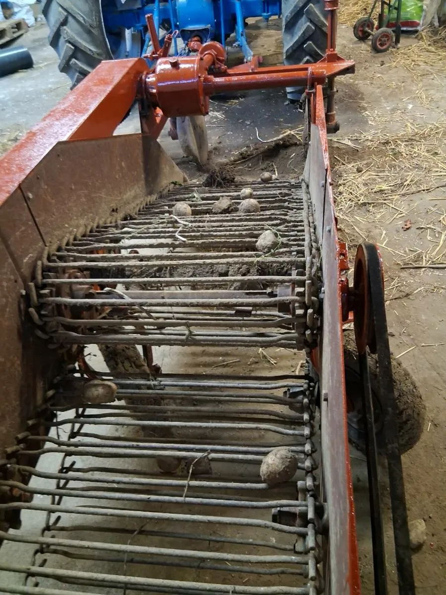 Potato harvester - Image 2