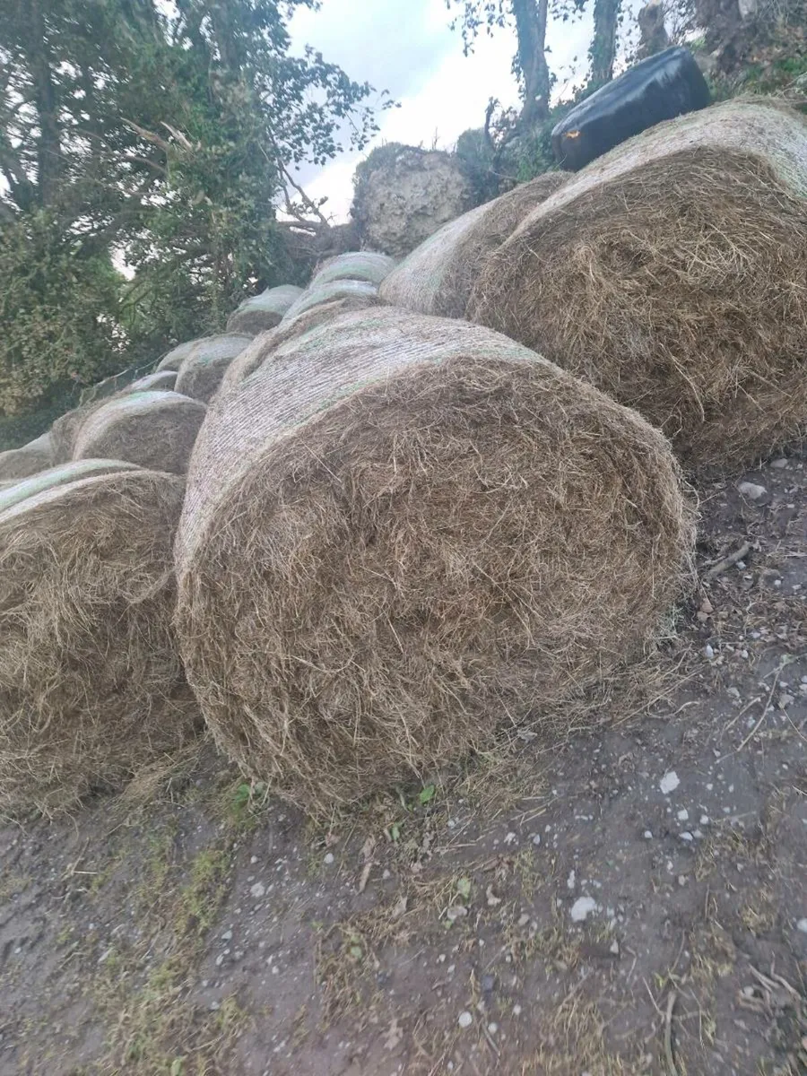 50 Bales of bedding for sale - Image 1