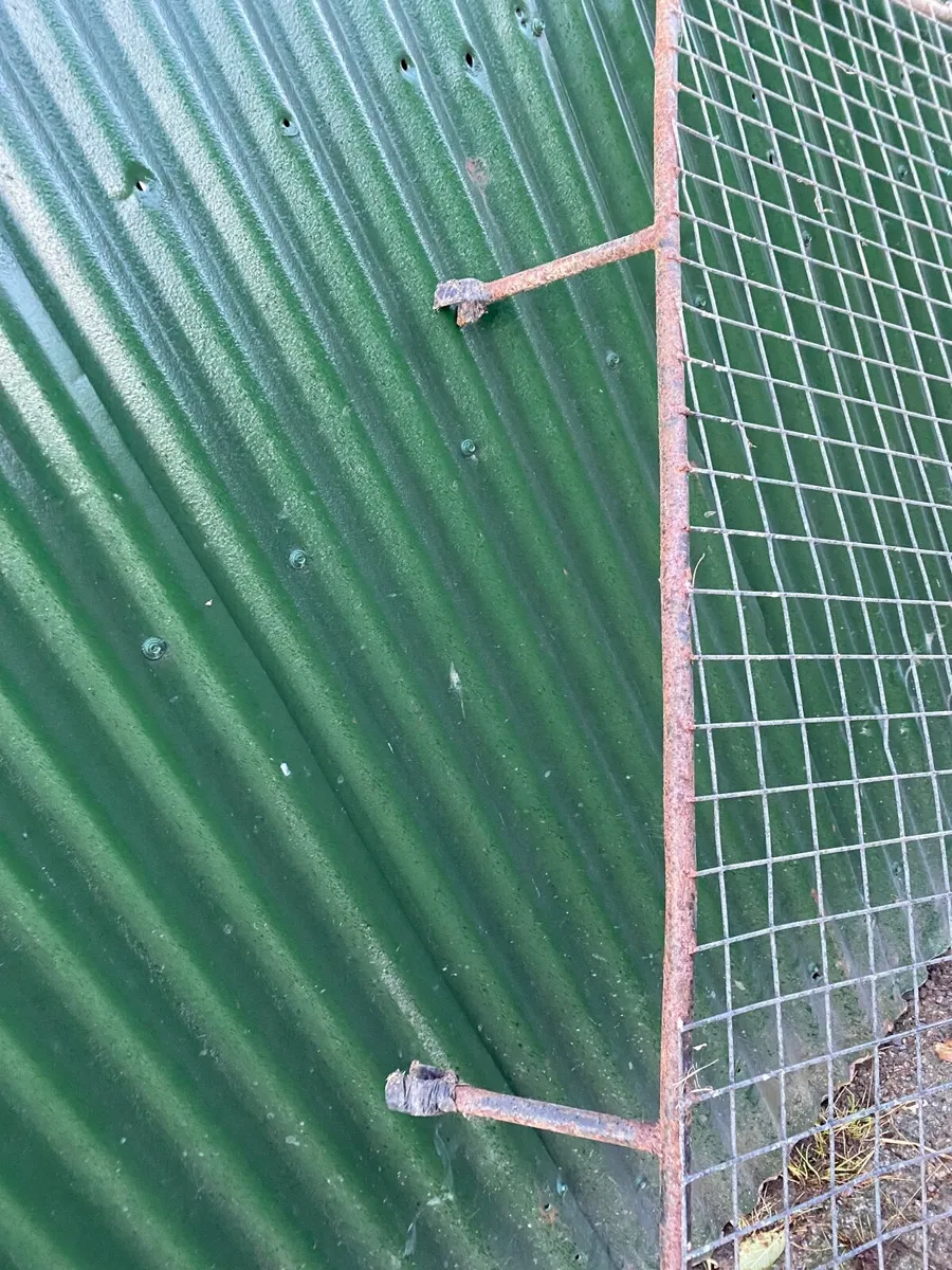 Deutz fahr Hedge cutter cab gaurd - Image 2