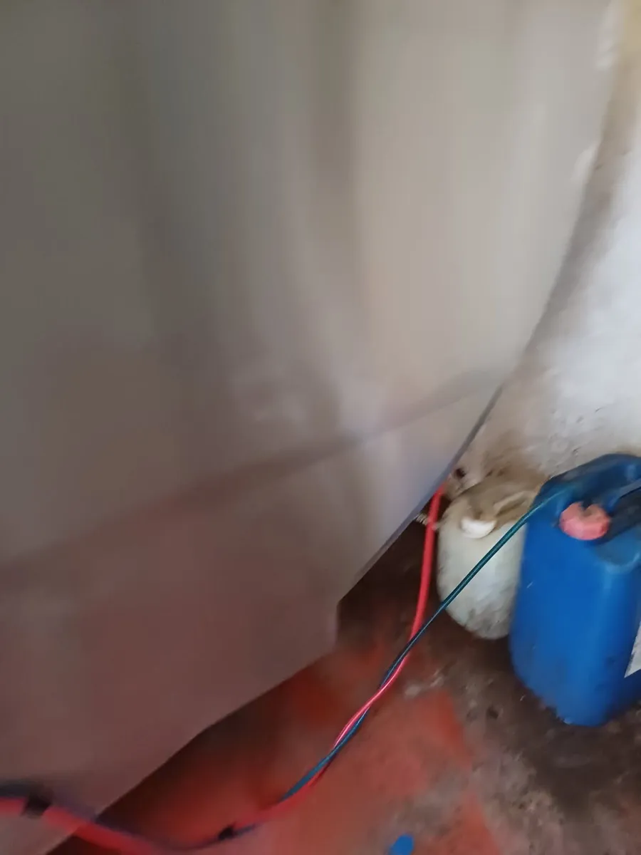 FABDEC milk tank and roller door for sale - Image 3