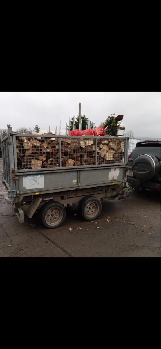 Firewood - Image 1
