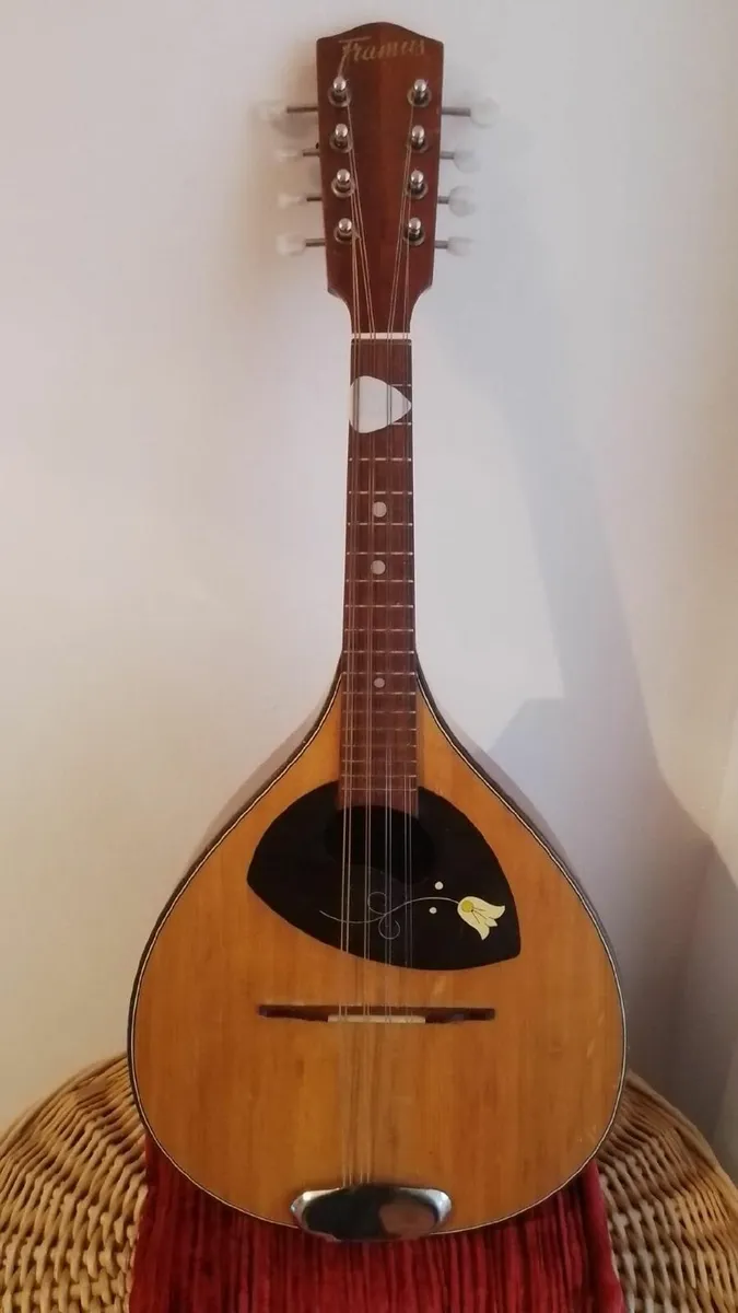 Framus Mandolin 1966 - Image 1
