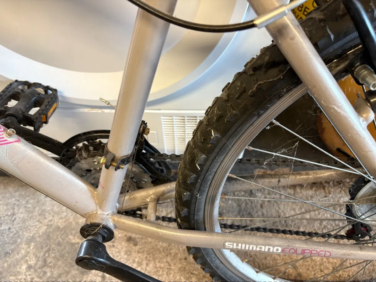 Bike - Image 2