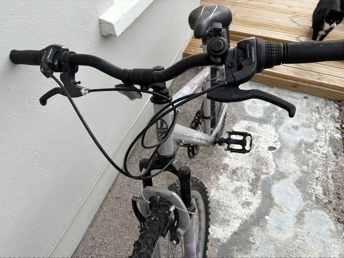 Bike - Image 4