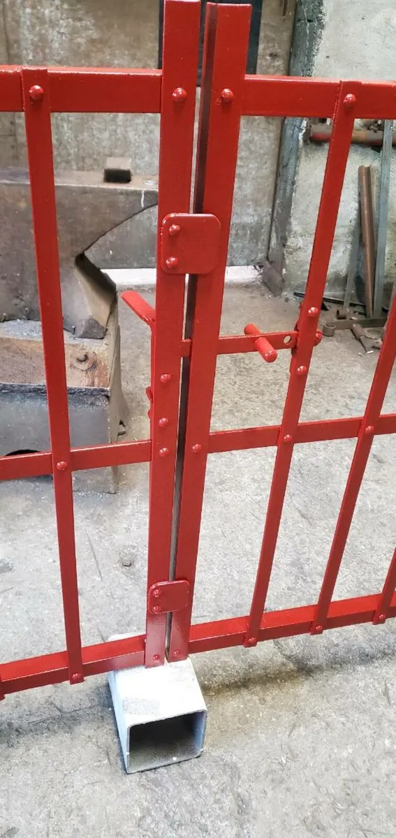 House gate - Image 4