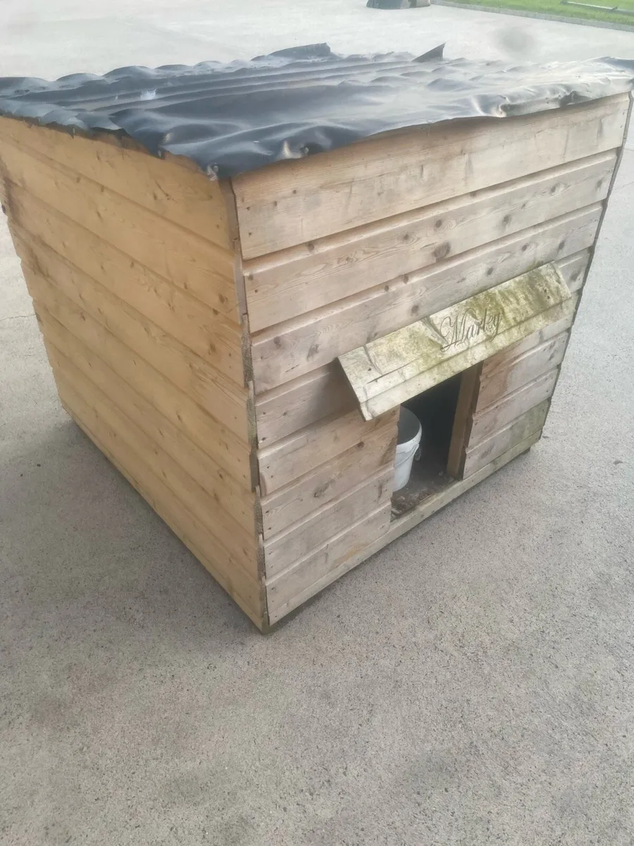 Dog box - Image 1