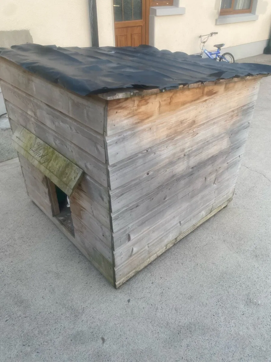 Dog box - Image 2