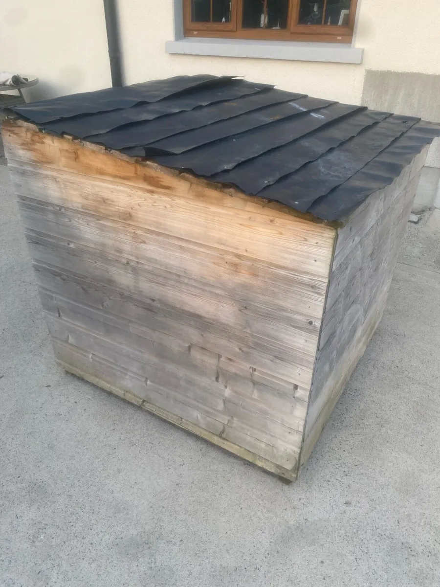 Dog box - Image 4