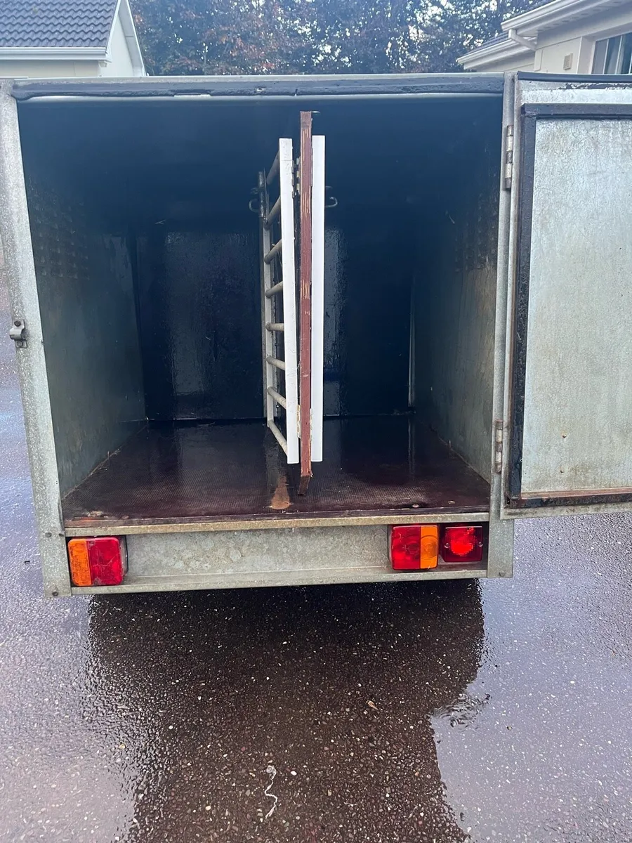 Dog trailer - Image 4