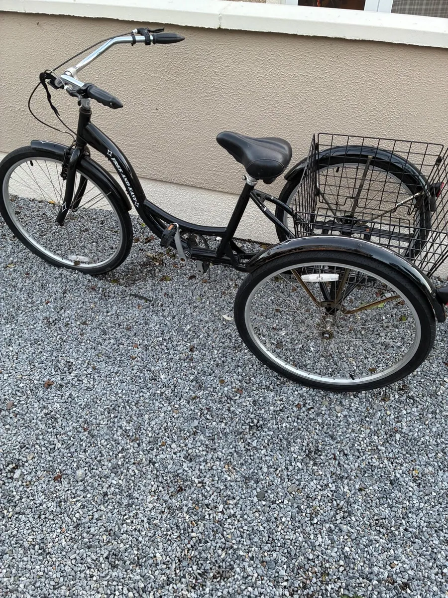 Adults trike - Image 1