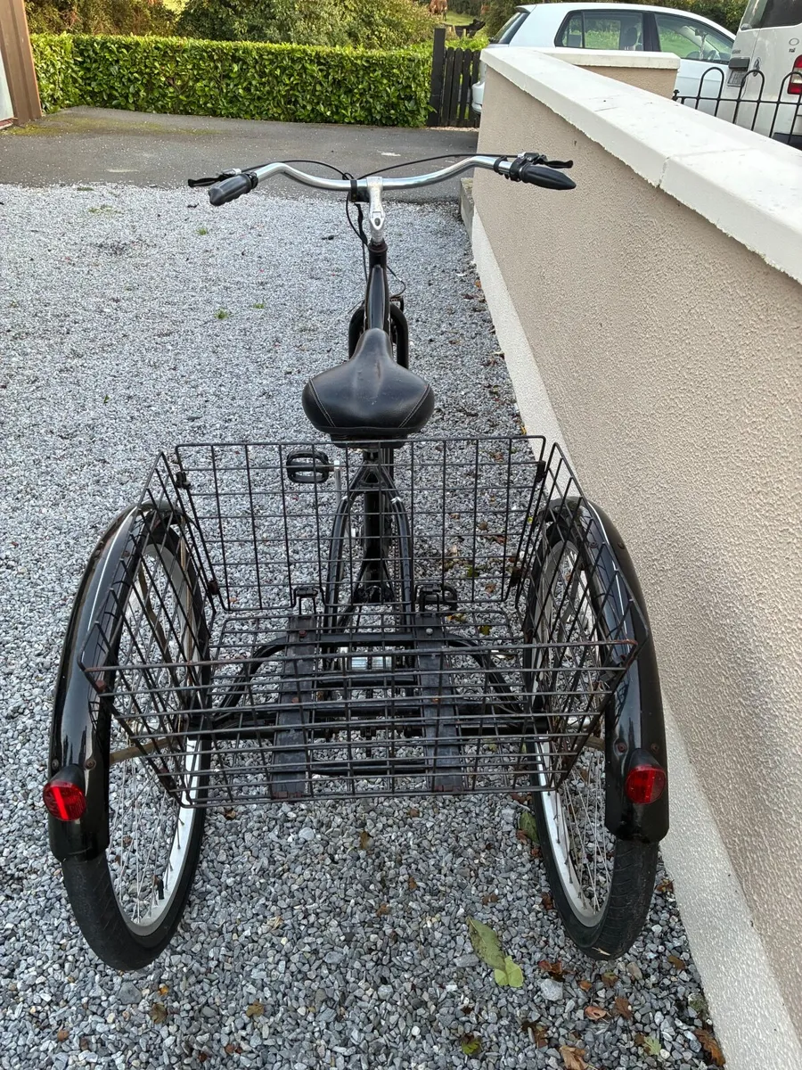 Adults trike - Image 3