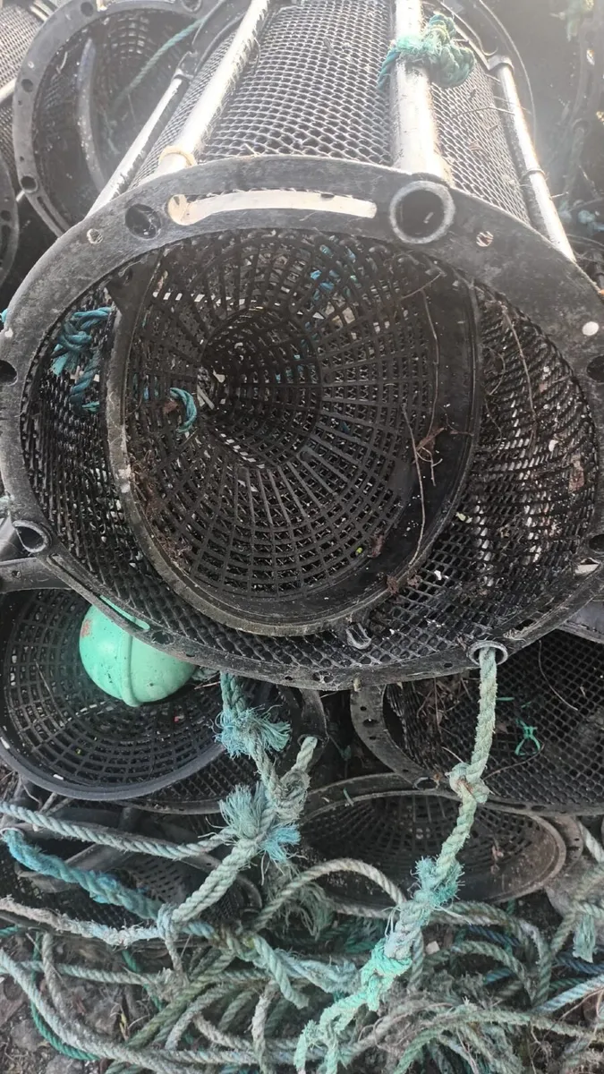 150 Shrimp Pots - Image 2
