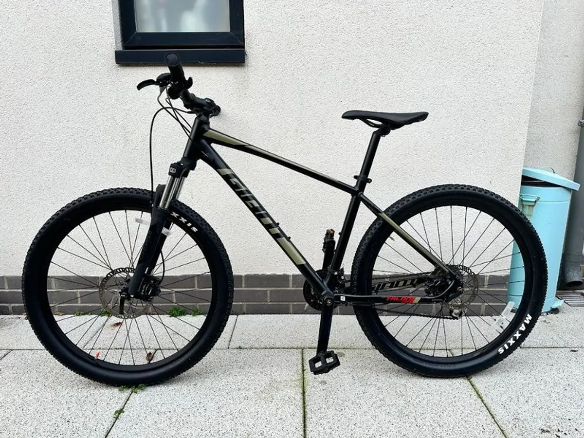 Mountain bike - Image 1