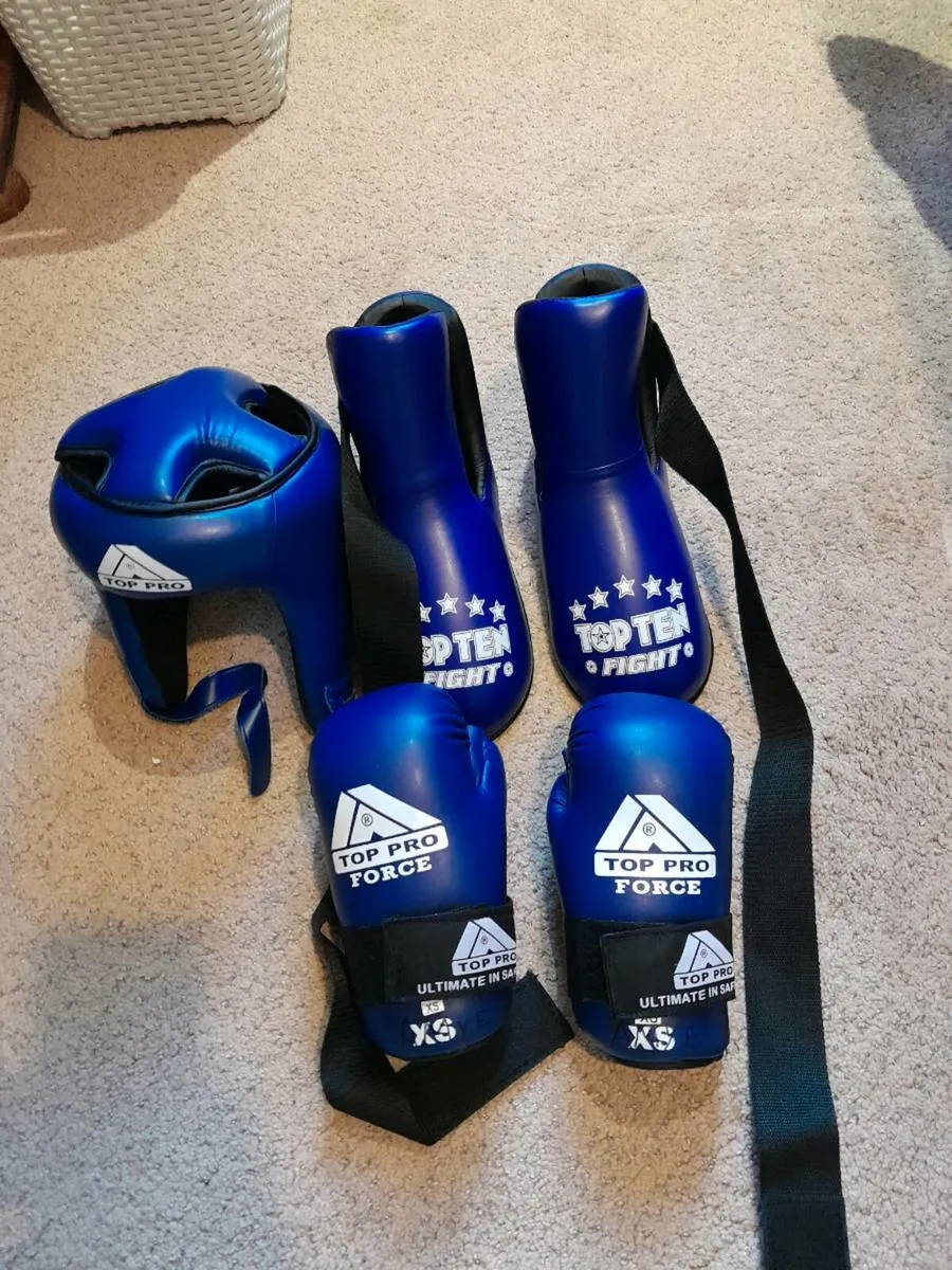 Taekwondo sparing equipment - Image 2