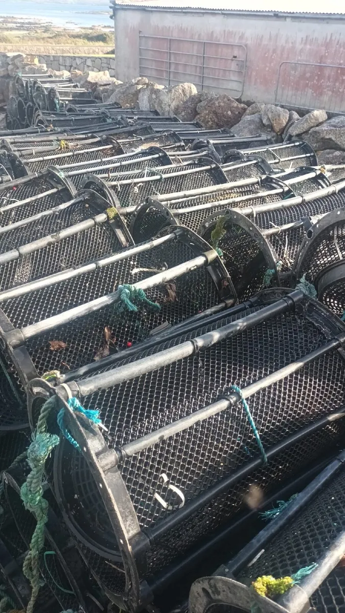 150 Shrimp Pots - Image 1