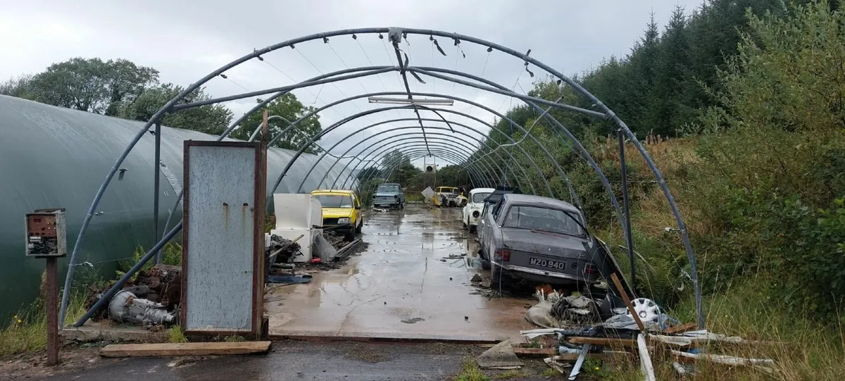 Mushroom Poly tunnel
