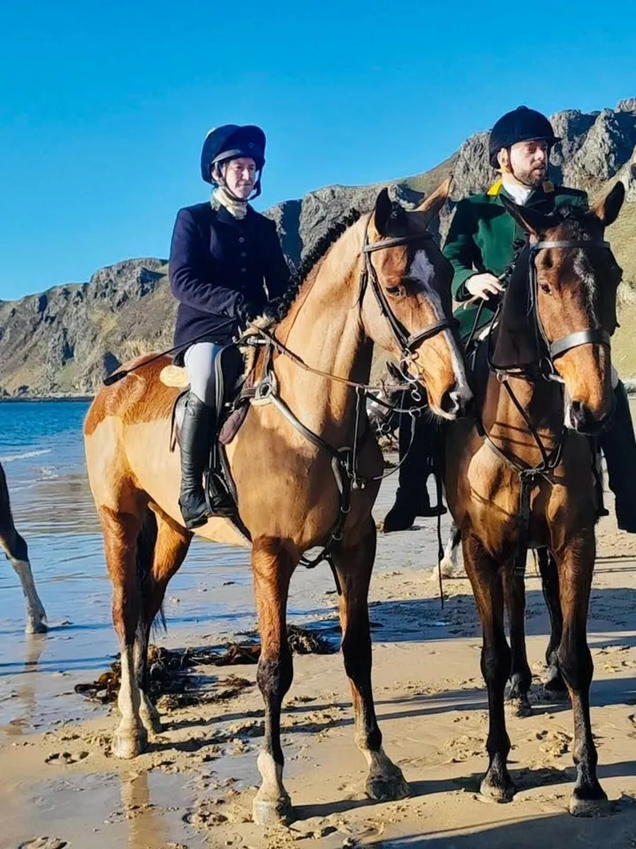 Horse - Image 1