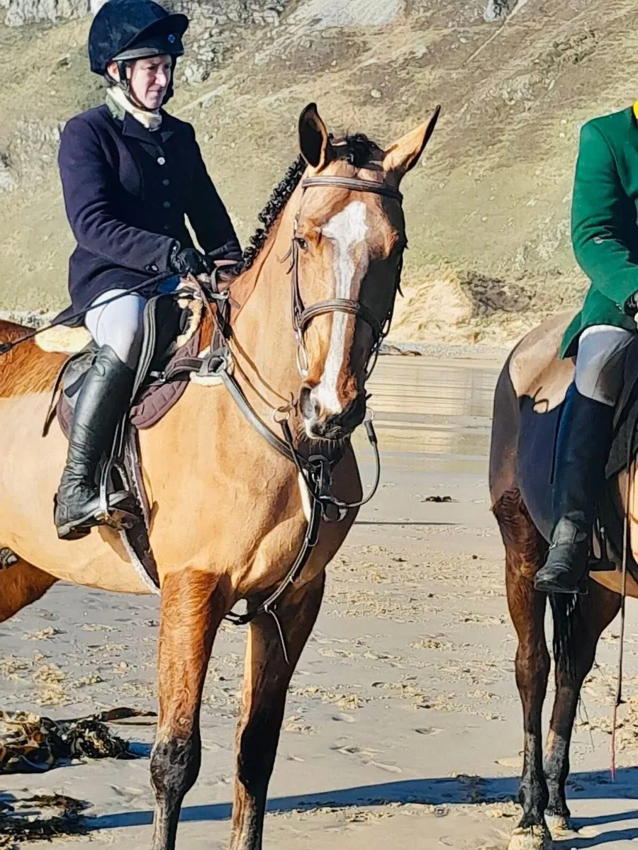 Horse - Image 2