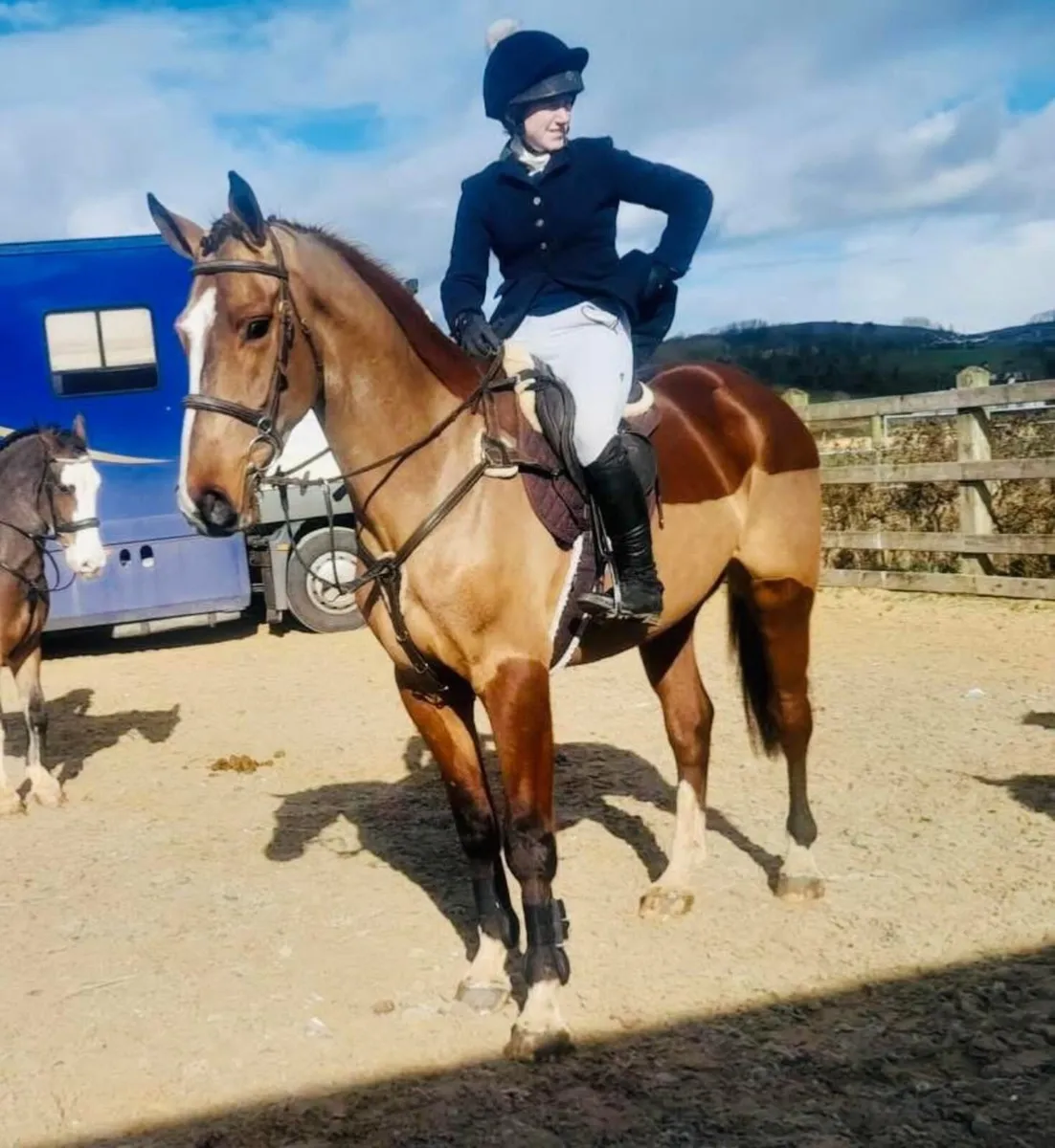 Horse - Image 3