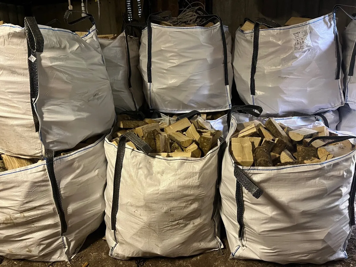 Firewood - Image 2