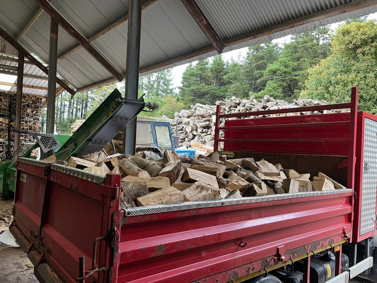 Firewood - Image 1