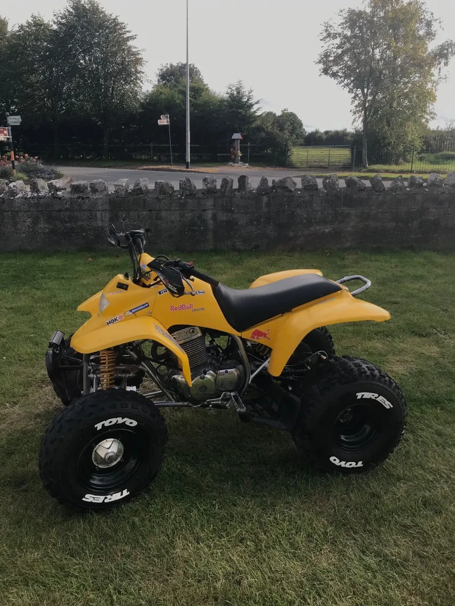 Quadzilla stinger Quad Bike 250cc - Image 2