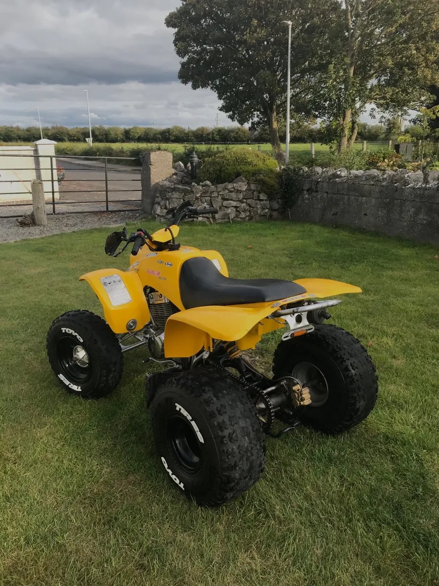 Quadzilla stinger Quad Bike 250cc - Image 3