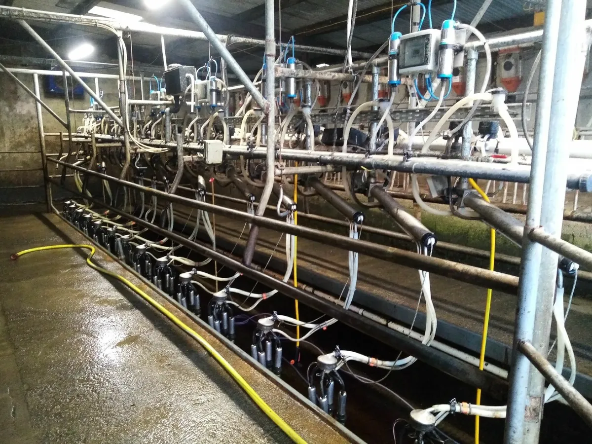 milking parlour - Image 1