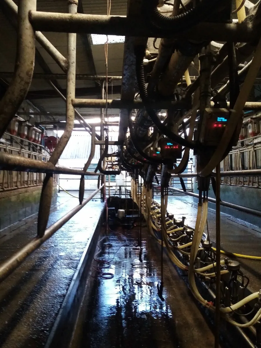 milking parlour - Image 3