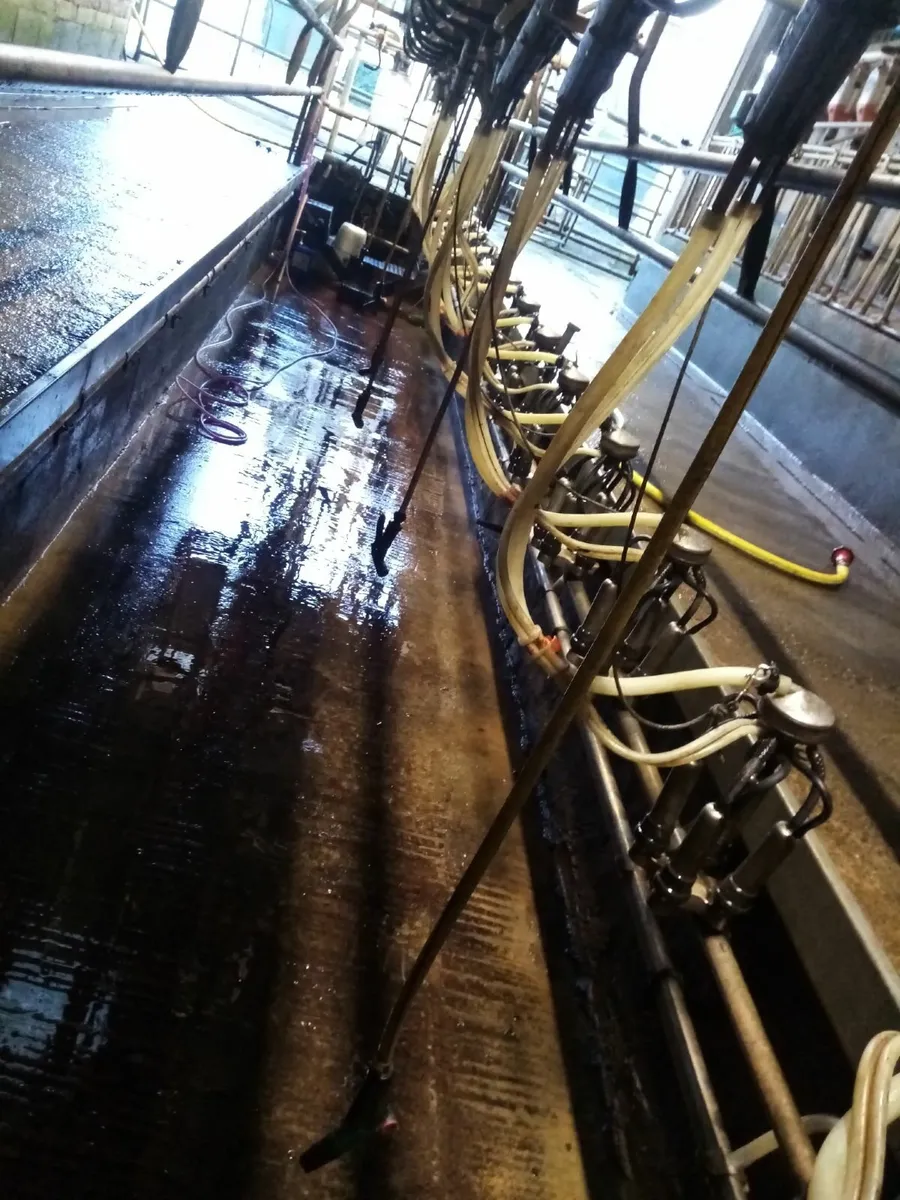 milking parlour - Image 4
